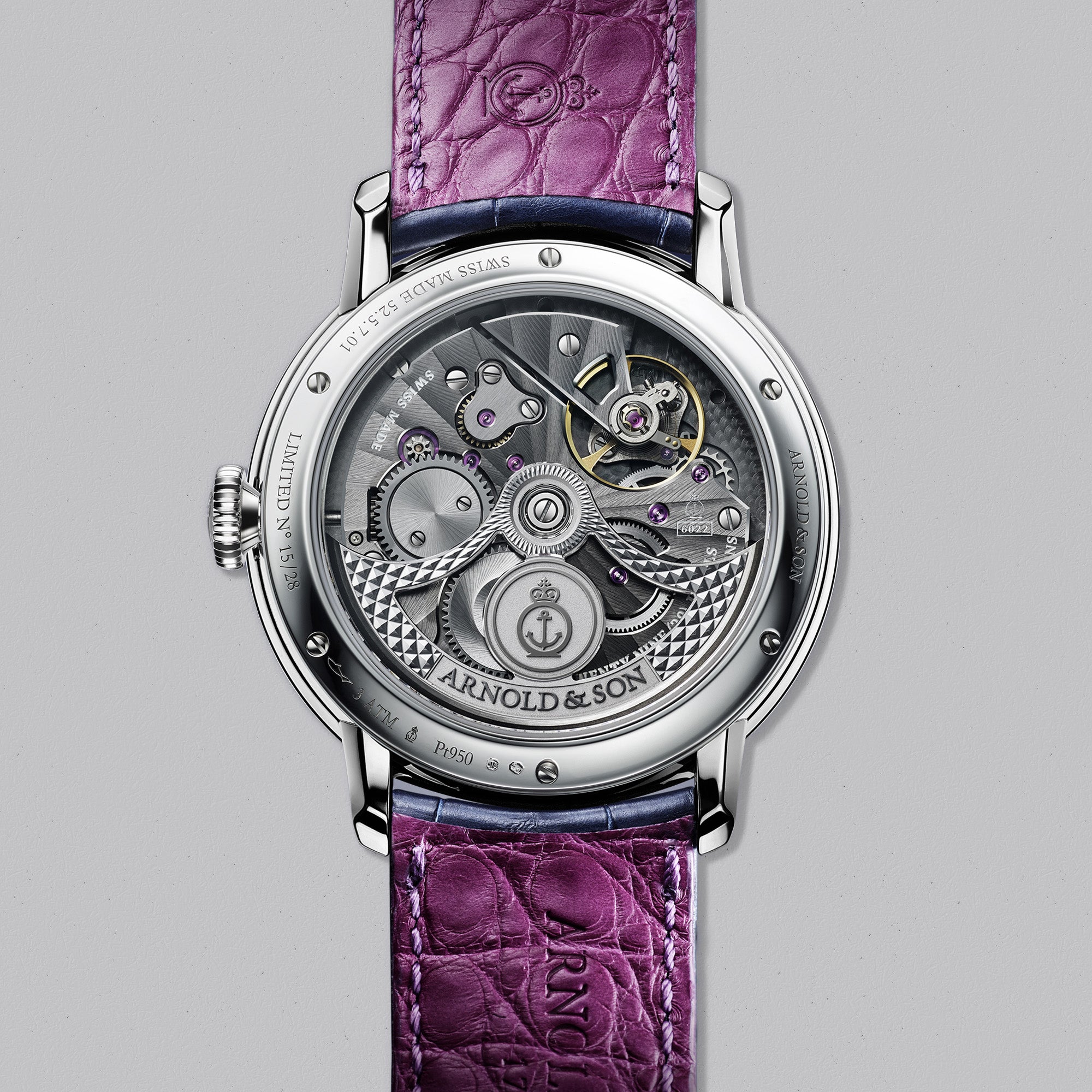 GLOBETROTTER-PLATINUM-BACK